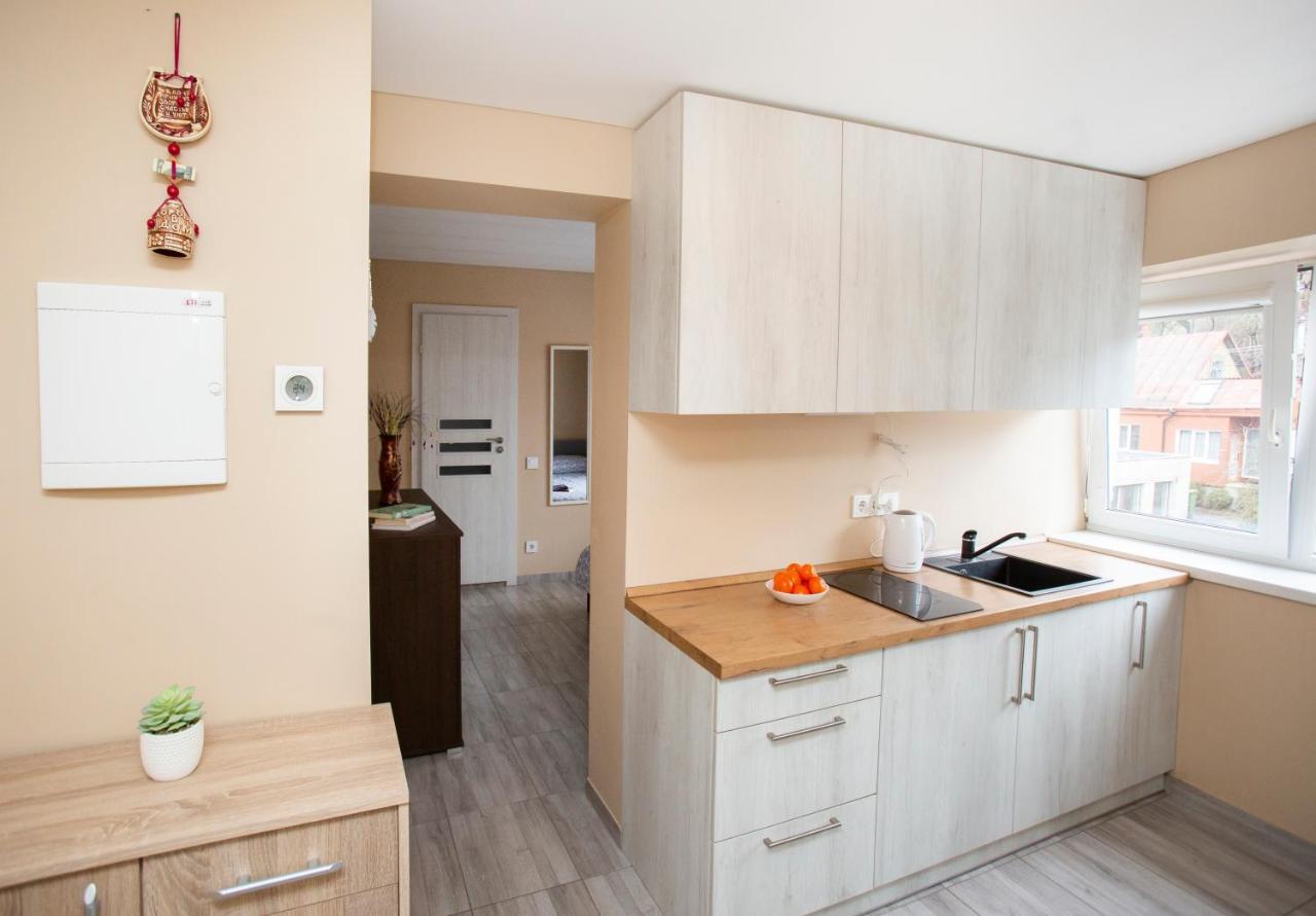 Chill&Go Apartment Kaunas Extérieur photo